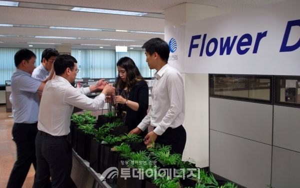 삼천리가 플라워데이 행사를 실시해 임직원들에게 꽃 화분을 선물하고 있다.