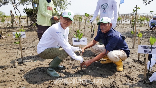 박형구 한국중부발전 사장(좌)과 Pak. Farudin 찌레본 환경단체 대표가 맹그로브 나무를 심고 있다.