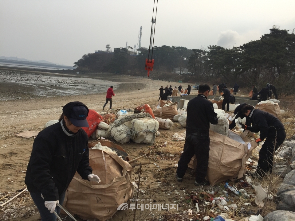 해양환경관리공단 대산지사 관계자들이 숙호지에서 해양쓰레기를 수고하고 있다.
