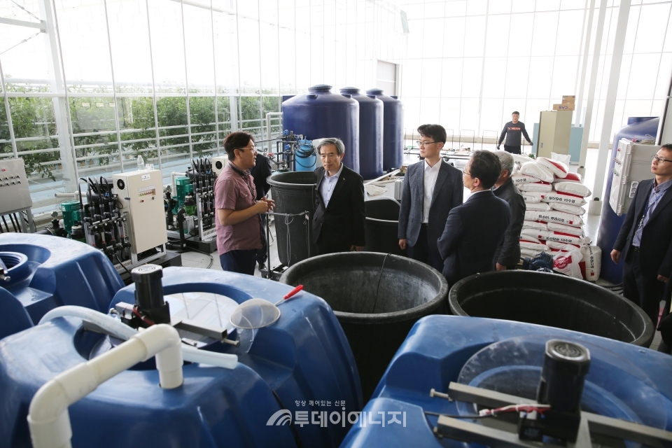 김병숙 한국서부발전 사장(좌 2번째)이 한국형 스마트팜사업 설비를 점검하고 있다.