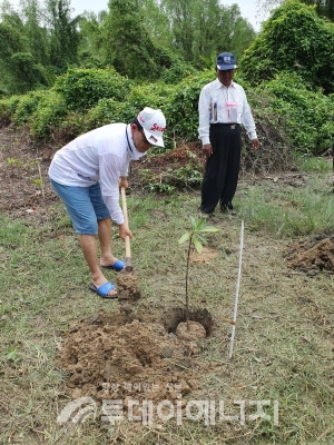 박종명 한국전력 기후변화대응처장(좌)이 미얀마 양곤에서 맹그로브를 식재하고 있다.