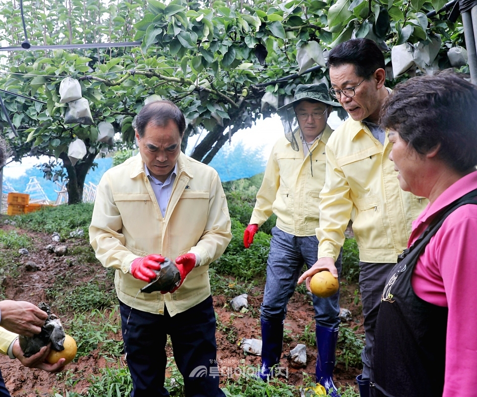 김인식 한국농어촌공사 사장(좌 첫번째)이 과수농가를 찾아 피해현황을 점검하고 있다.