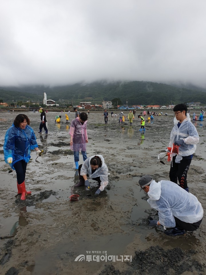 ‘장·보·고 프로그램’ 참가자들이 거제 다대어촌체험마을에서 갯벌체험을 하고 있다.