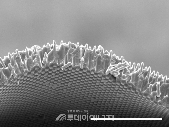 투명태양전지를 현미경으로 관찰한 모습.