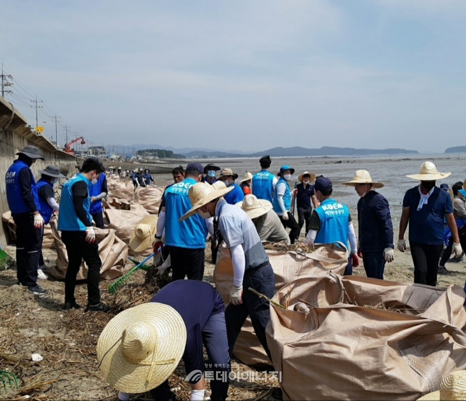 자원봉사자들이 해안가 쓰레기를 수거하고 있다.