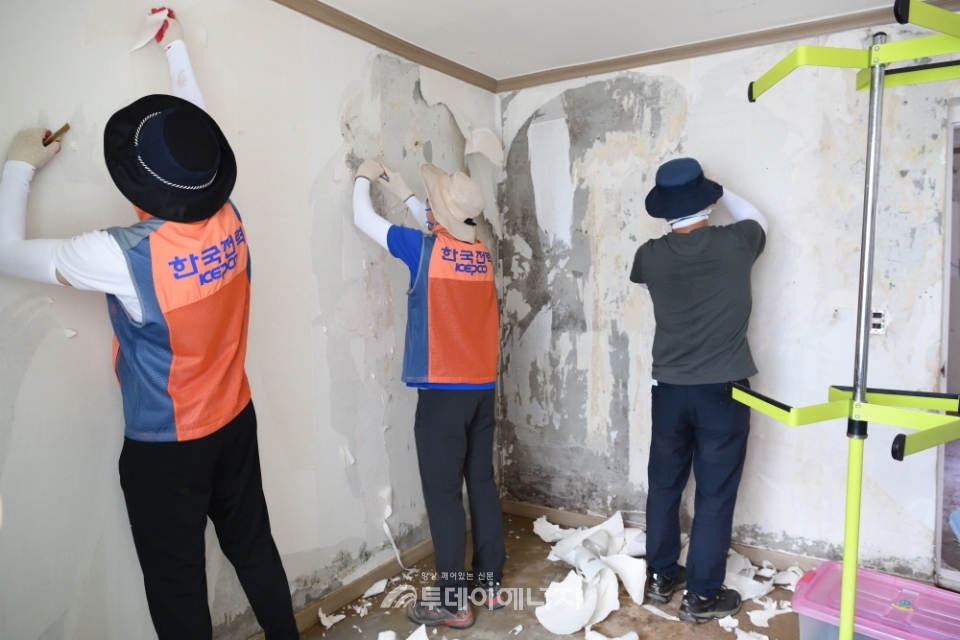 전력연구원 관계자들이 침수로 오염된 벽지를 제거하고 있다.