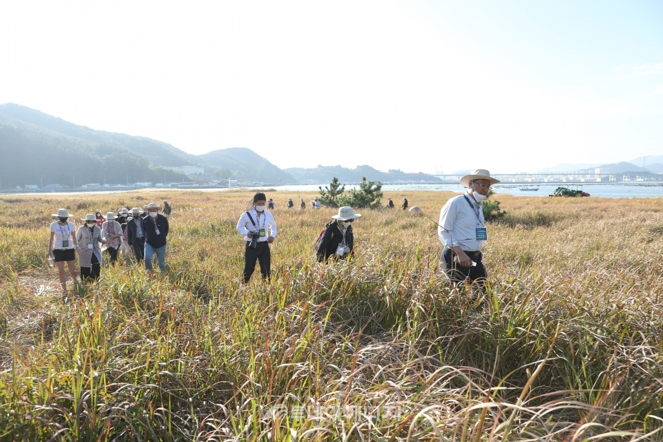 박재현 한국수자원공사 사장(우 첫번째)과 해외석학 및 국내 참가자들이 낙동강 하구의 대표적인 생태지역인 갯벌을 둘러보고 생태계 체험을 진행하고 있다.