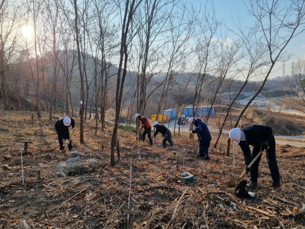 석유공사 임직원이 울산지사에서 탄소흡수원을 조성하기 위해 상수리나무를 심고 있다/한국석유공사 제공