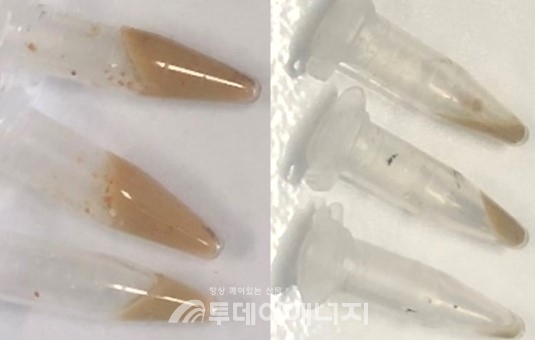 감마선을 이용해 처리한 하수슬러지 비교 모습/한국원자력연구원 제공