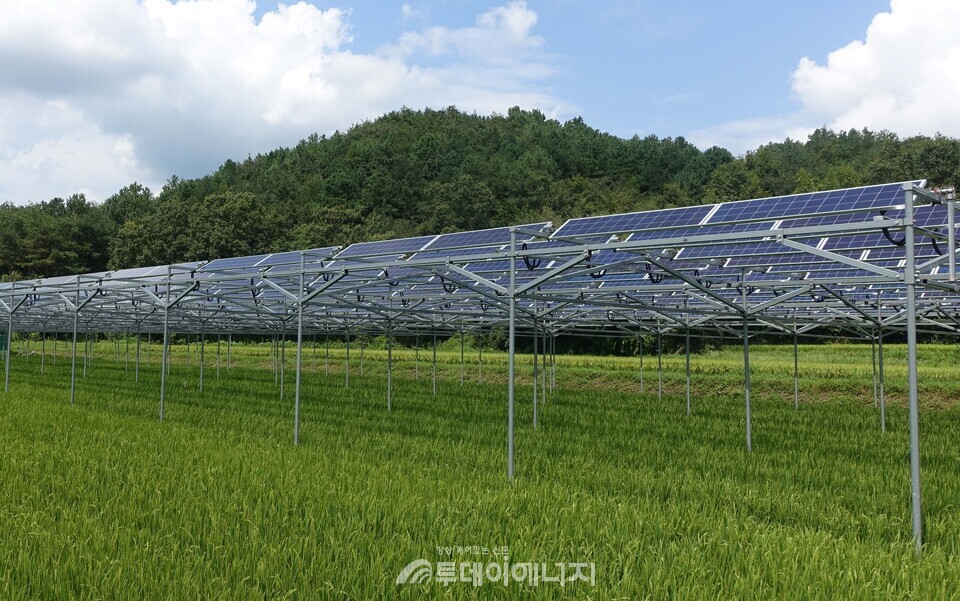 영농형태양광 예시 / 전라남도 제공