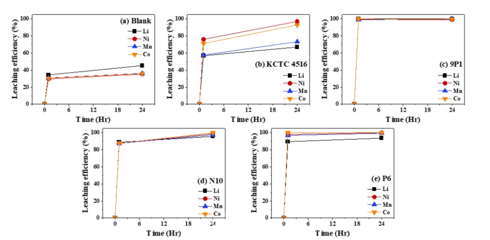 바이오침출 실험 결과 /환경부 제공양극활물질 NCM 111 대상 침출실험 결과, (a) Blank (미생물 미접종 상태의 pH 1.8 맞춘 배양액) 조건에서 24시간 내 금속 침출률이 Li (리튬) 40%, Co (코발트), Mn (망간), Ni (니켈) 약 33%를 확인했다. (b) 미생물 KCTC 4516 균주를 접종한 조건에서는 금속 침출률이 24시간 이내 Li, Mn 약 65%, Ni, Co 약 90%를 달성했다. (c∼e) 한편, 본 연구팀에서 확보한 균주 3종의 경우, 기존 KCTC 4516 균주 대비 1시간 이내에, 금속 침출률 90%를 달성했으며 24시간 이내에 95% 이상의 침출률을 확보했다. 특히 이 중 9P1 균주는 1시간 이내에 Li, Ni, Mn, Co 침출률 98%를 달성했다.