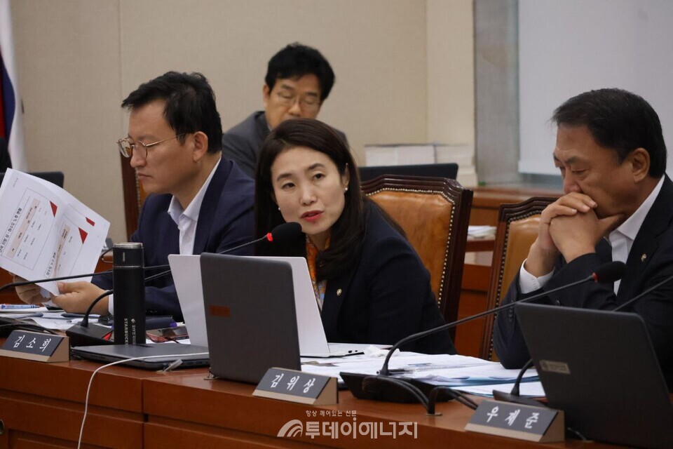 17일  정부조직법 개정안 발의한 김소희 의원 / 김소희 의원실 제공