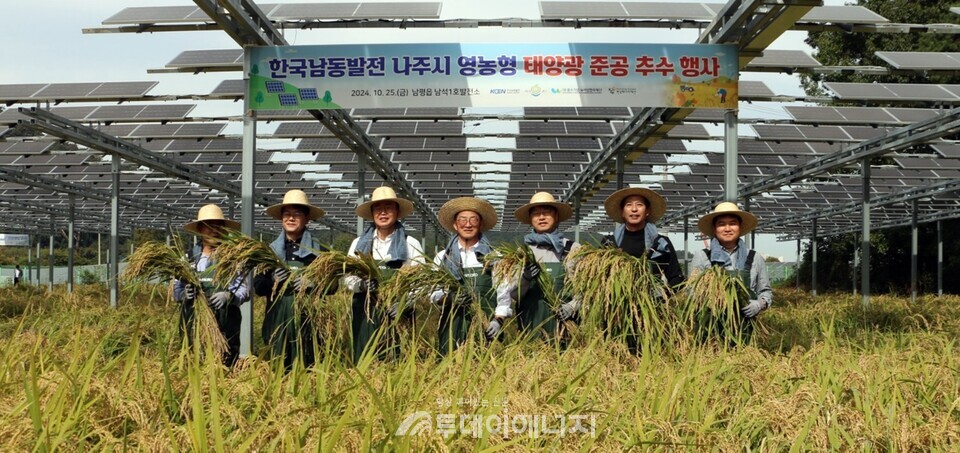 나주시가 남평읍 남석리 하남마을에 구축한 제1호 영농형 태양광 발전소 일원에서 태양광 설비 준공 기념식과 벼 수확 행사를 가졌다. 영농형 태양광은 하부 농지에서 벼 등 농작물을 생산하고 상부에서는 태양광 발전설비를 통해 전력을 얻는 방식이다. 전력 수익금은 유지·운영비 등을 제외하고 마을발전기금으로 활용된다. /나주시 제공