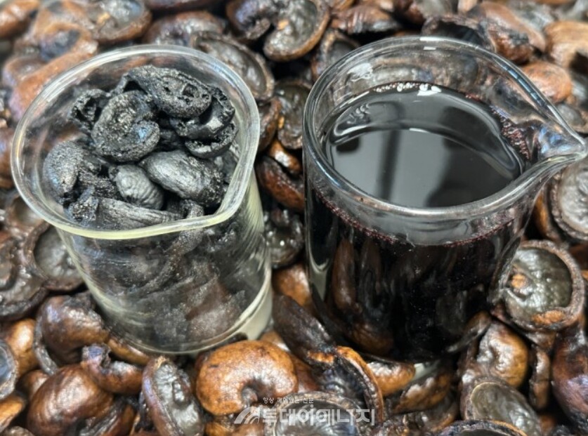 캐슈넛 껍질로 생산한 바이오차(왼쪽)와 바이오중유(오른쪽)가 놓여 있다./한국에너지기술연구원 제공