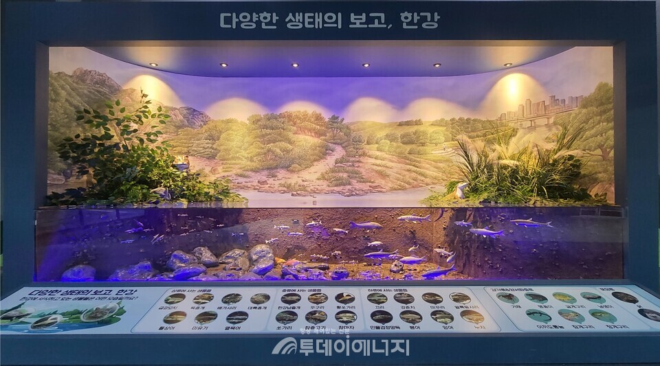 국립환경과학원은 경기도 양평균 소재 한강물환경생태관광을 생태체험과 전시공간으로 개편했다고 밝혔다. / 국립환경과학원 제공