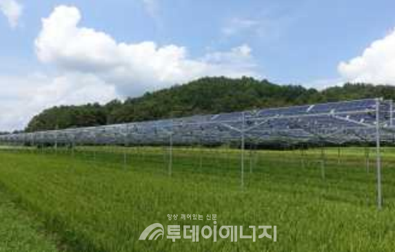 영농형 태양광 시설 전경/국회 제공