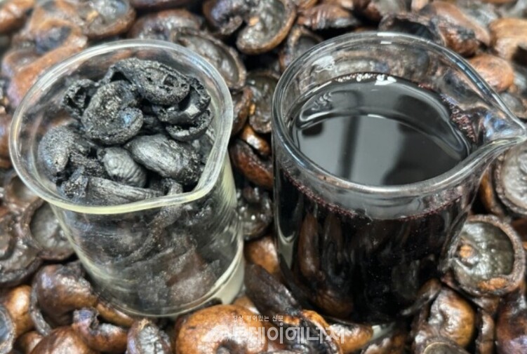 열분해로 생성된 캐슈넛 바이오차(좌)와 바이오중유(우)/한국에너지기술연구원 제공