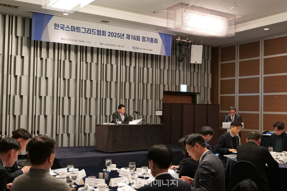 구자균 한국스마트그리드협회 회장이 정기총회 안건을 심의하고 있다./한국스마트그리드협회 제공