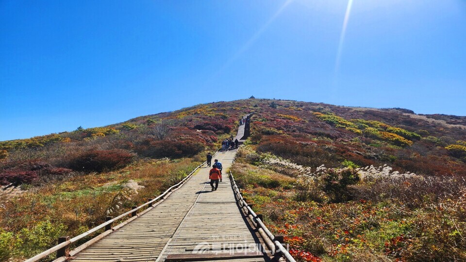지리산 노고단 탐방로. / 국립공원공단 제공