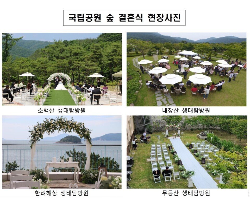 국립공원 숲 결혼식 현장사진. / 국립공원공단 제공