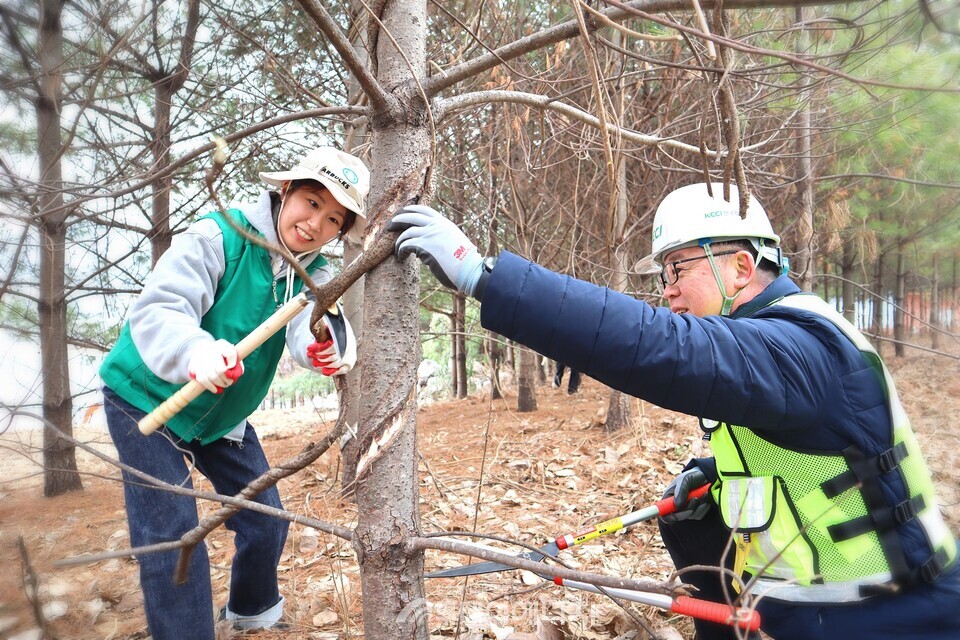 한국환경보전원 직원과 스타벅스 봉사자가 나무에 얽힌 칡덩굴 제거에 힘쓰고 있다. / 한국환경보전원 제공