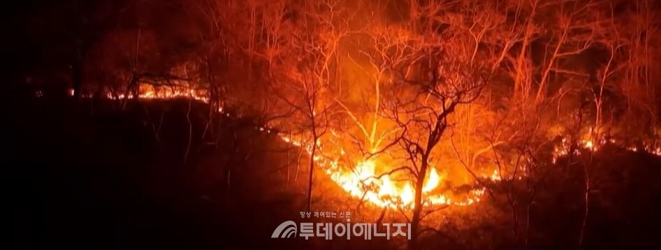 지난달 대형 산불이 발생한 영남 지역 산에서 불길이 번지고 있다./출처 KTV 국민방송