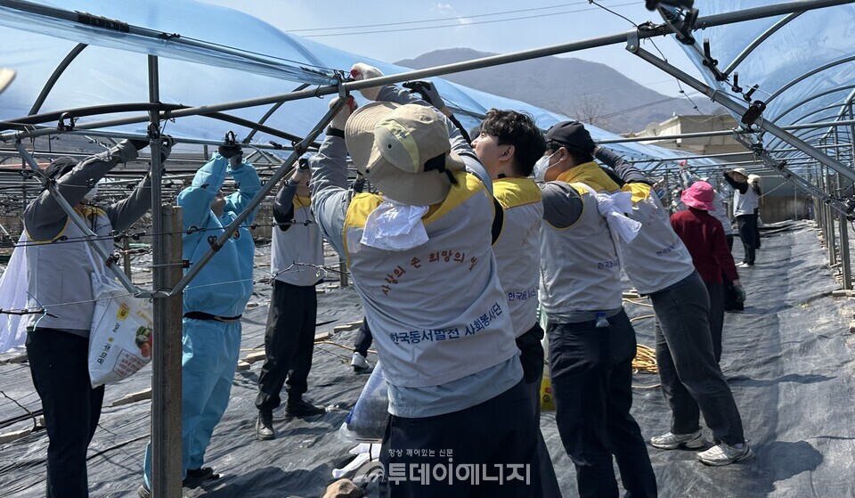 동서발전 사회봉사단이 포도농가 피해복구 현장에서 봉사활동을 하는 모습/한국동서발전 제공