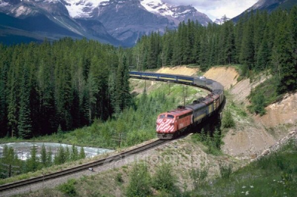 시베리아 횡단철도 주변에 위치한 수목지대.