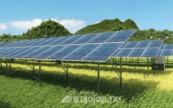 잠비아의 태양광 발전 단지/싸니 제공