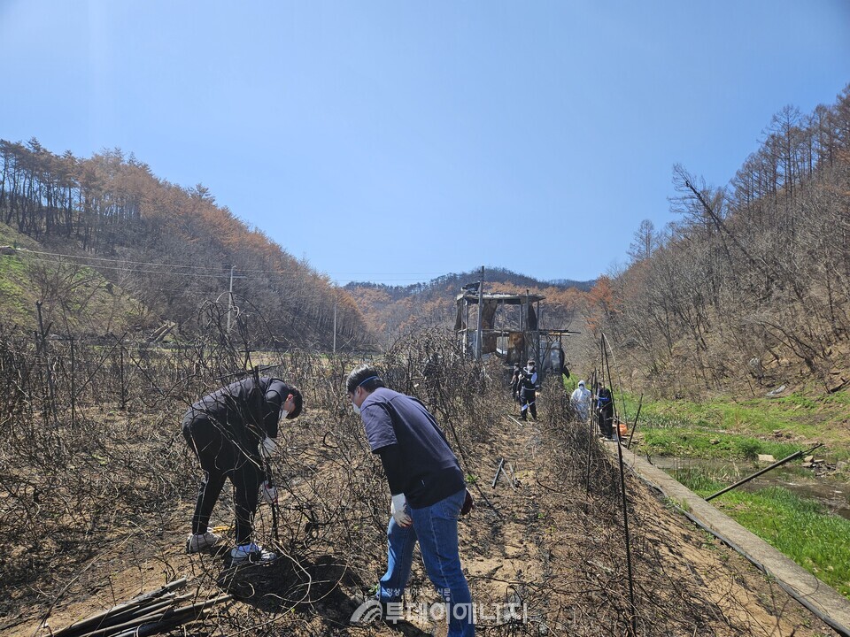 산불 피해지역 봉사활동 현장 사진. / 대구지방환경청 제공