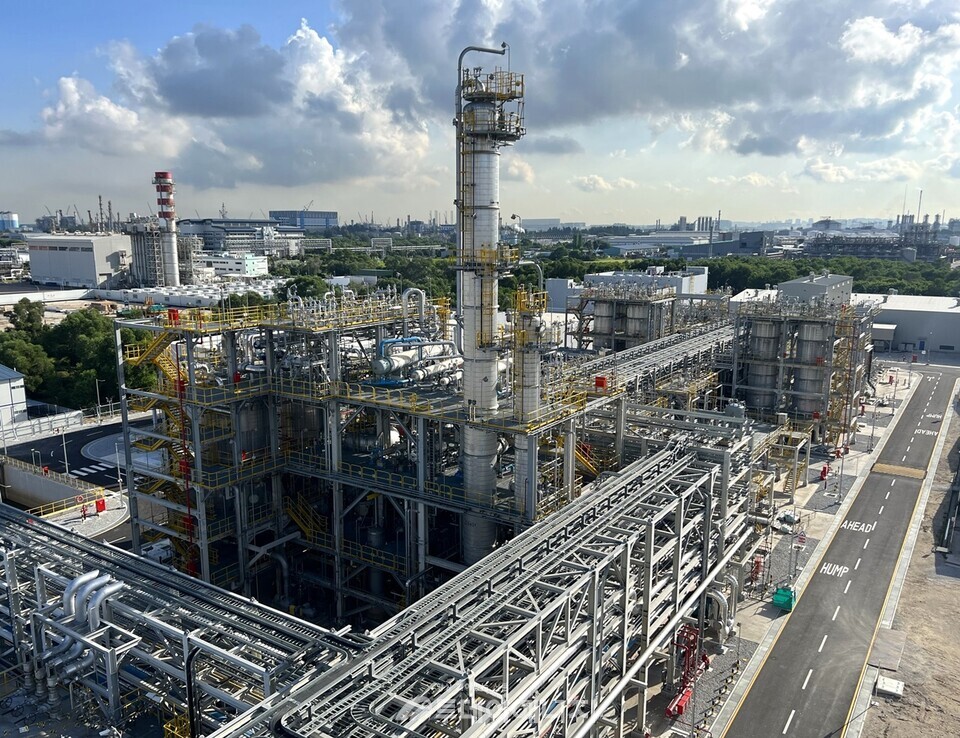 '카리플렉스' 싱가포르 공장/DL케미칼 제공