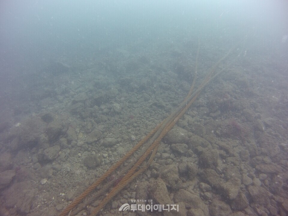 수중드론 폐와이어 점검 / 한국해양교통안전공단 제공