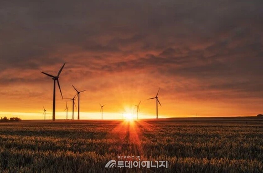 풍력발전단지/세계경제포럼(WEF) 제공