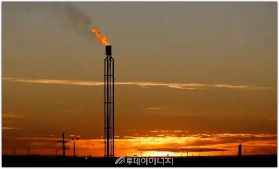 소각 가스는 단순한 자원 낭비를 넘어, 기후위기의 상징으로 부상하고 있다.