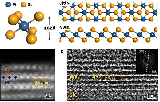 백금 셀레나이드 모식도와 전자현미경 이미지 /카이스트 제공