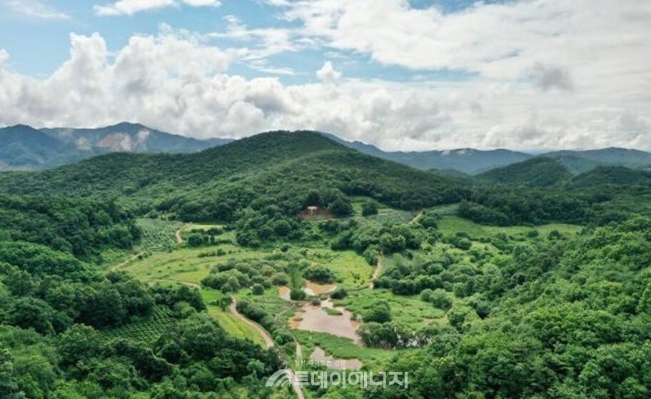 경북 문경 돌리네습지./경상북도 제공