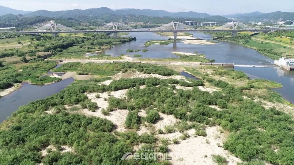 2018년부터 완전 개방된 세종보 모습(2022년)./ 환경부 제공