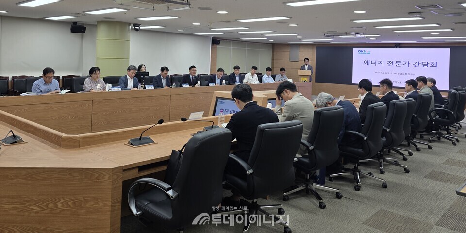‘기술 기반 에너지 정책 정립’ 전문가 간담회/전남도 제공