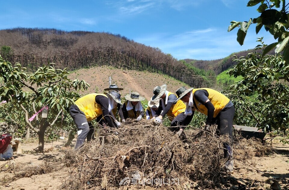 낙동강유역환경청(낙동강청)은 31일 수해 피해가 집중된 경남 산청군 시천면 중태마을에서 수해복구 봉사활동을 두 번째 진행했다고 밝혔다./ 낙동강유역환경청 제공