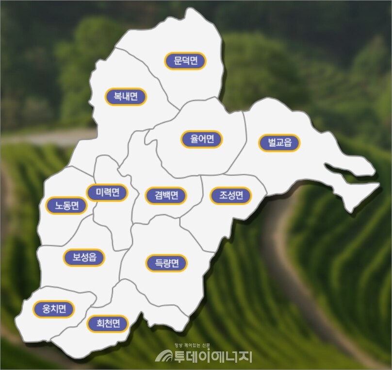 전남 보성군 관내 행정지도. /보성군 홈페이지 캡처