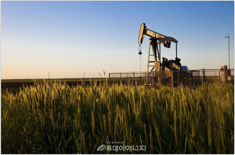 정제 능력 감소·수출 수요 강세로 美 원유 재고 수준이 낮게 유지되고 있다. 