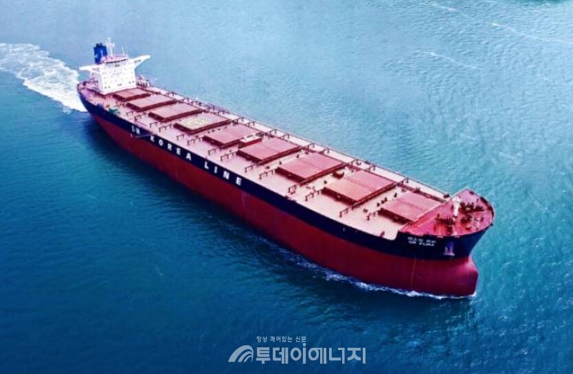 대한조선이 건조한 벌크선이 운항하고 있다./출처 대한조선