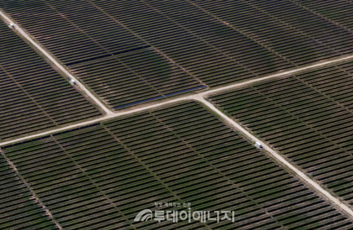 미국 텍사스주 앤슨에 있는 태양광 발전소의 태양광 패널 줄을 보여주는 항공 사진 / REUTERS/Daniel Cole
