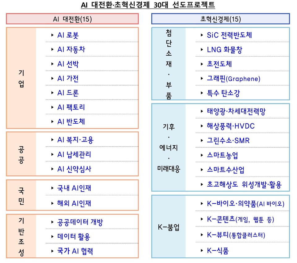 AI 대전환-초혁신경제 30대 선도프로제트 / 기획재정부 제공