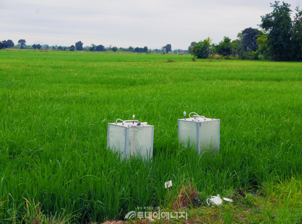 땡스카본은 AI 솔루션 ‘헤임달’로 영상, 기후, 작황 데이터를 분석해 감축 효과를 정량화한다. MRV 체계를 갖춘 정밀 검증 기술로, 글로벌 탄소시장 진출 기반이 된다.