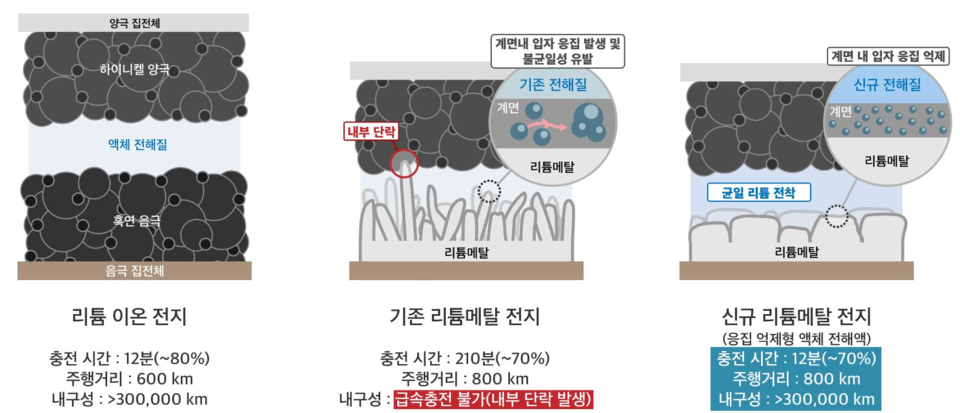 KAIST-LGES FRL 리튬메탈전지 기술 관련 인포그래픽 /KAIST 제공