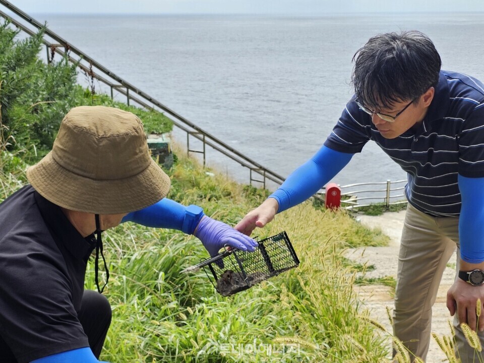 독도 집쥐 관리사업 현장 점검./ 대구지방환경청 제공