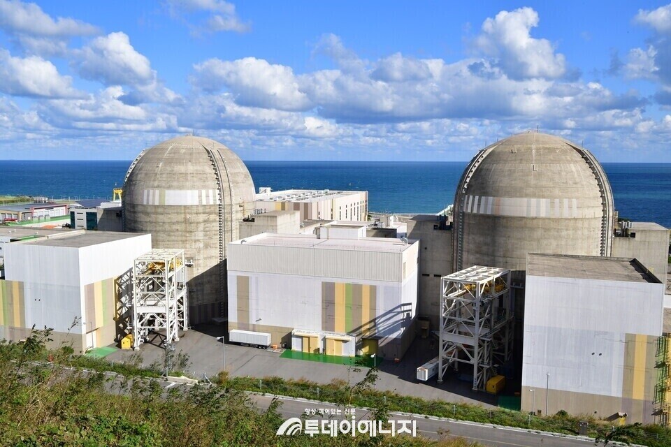 신월성 원전. /한국수력원자력