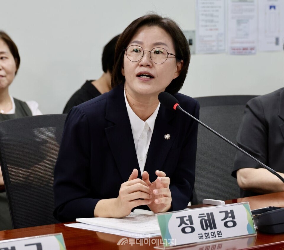 정혜경 진보당 의원. /정희경 의원실