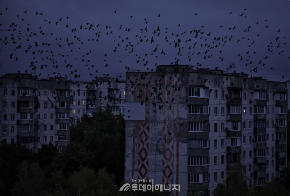 10월 초 우크라이나 체르니히우 지역에서 러시아군의 공격으로 중요한 사회 기반 시설이 피해를 입은 후 정전이 발생하면서 주거용 건물 근처를 새들이 날고 있다.  / 로이터 통신